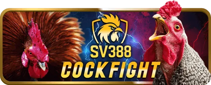 Cá cược thể thao 33win999